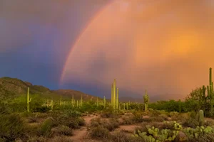 Sabino Canyon Rainbow