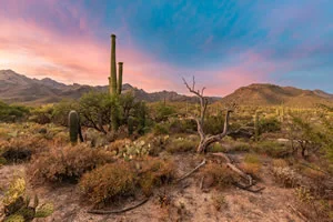 Sabino Canyon Sunset Tucson Arizona